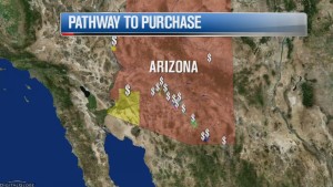 Phoenix Pathway to Purchase Program